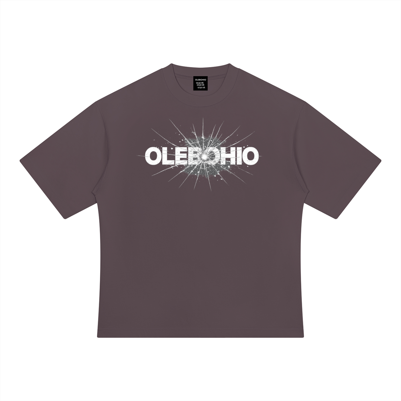 Haitain Heavyweight Oversized Tee